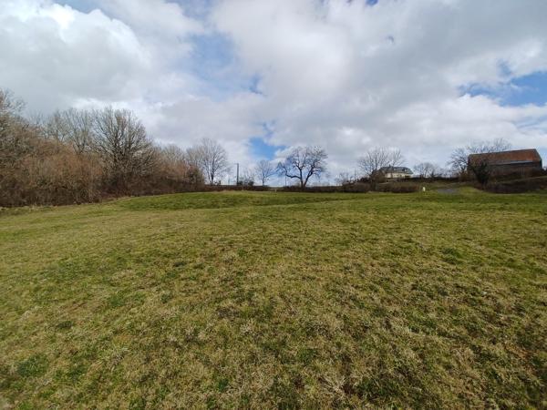 Terrain constructible de 3000m² en vente 69500 € à Chalvignac Détails des diagnostics énergétiques