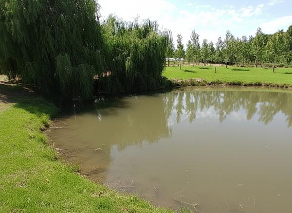 Ancienne propriété agricole avec dépendances au calme Eauze