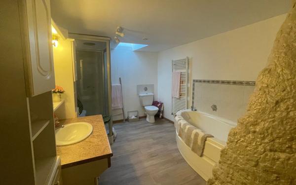 Maison à vendre    11 pièces •  Gérardmer