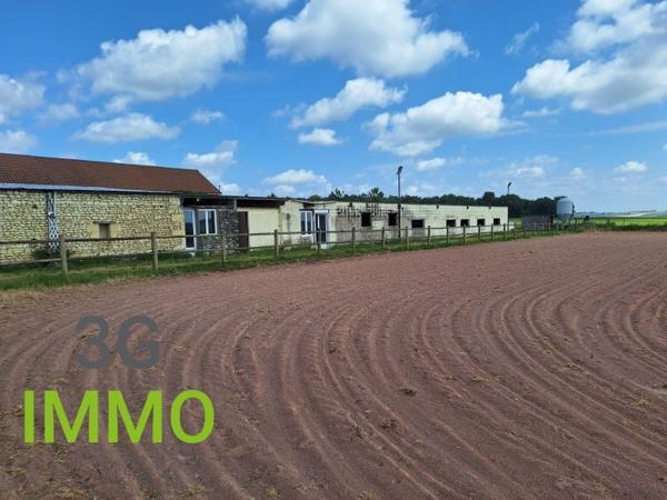Vente / Maison avec dépendance