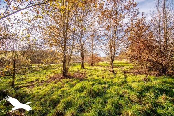 Maison à vendre |  Gaillac-Toulza |  4 pièces | 130 m²