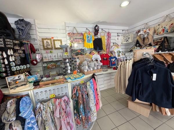 Dpt Hautes Pyrénées (65), à vendre LOURDES Loisir - Tourisme