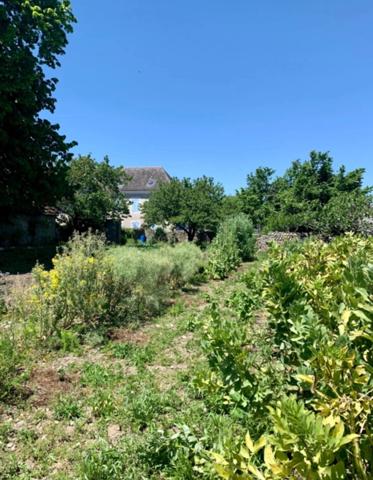 Maison + dépendances à vendre à LALOUBERE (65) + Terrain constructible