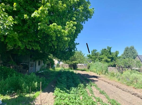 Maison + dépendances à vendre à LALOUBERE (65) + Terrain constructible