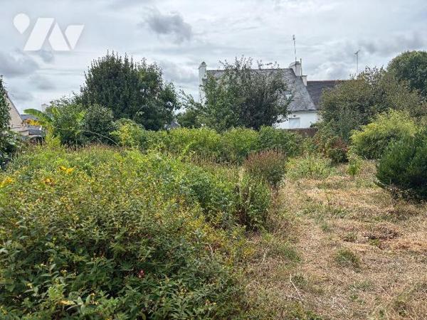 Terrain a Vendre à BRIEC, en Finistère Sud (29), au Coeur du Bourg, Terrain Constructible arbor...