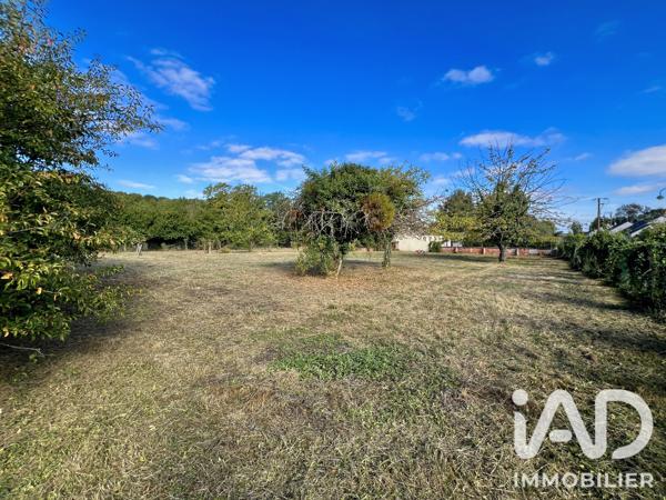Terrain à vendre 2 099 m² Lys-Haut-Layon