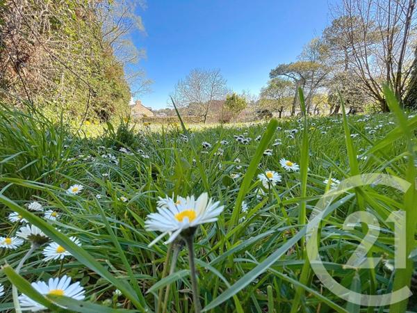 Maison à vendre  8 pièces - 158 m2 ARRADON - 56