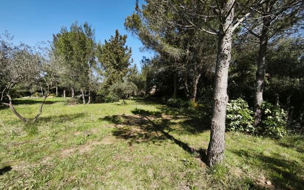 Terrain à vendre    Milhaud