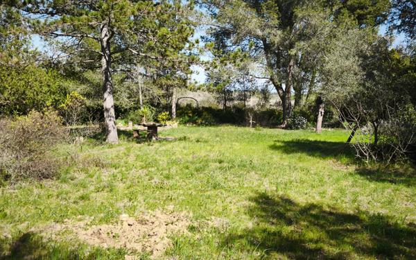 Terrain à vendre    Milhaud