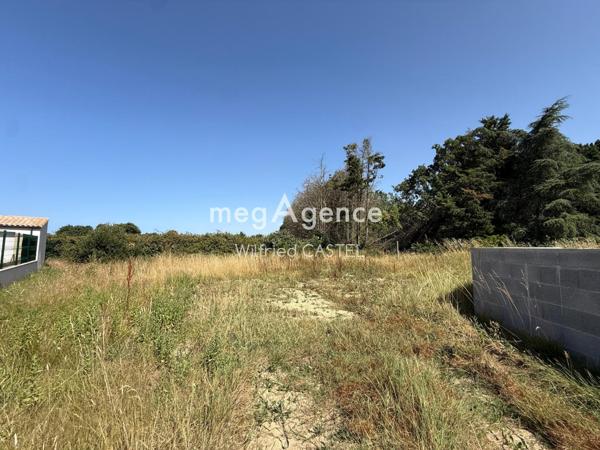 Terrain à L' ILE-D'OLONNE, 85340 - 986m²