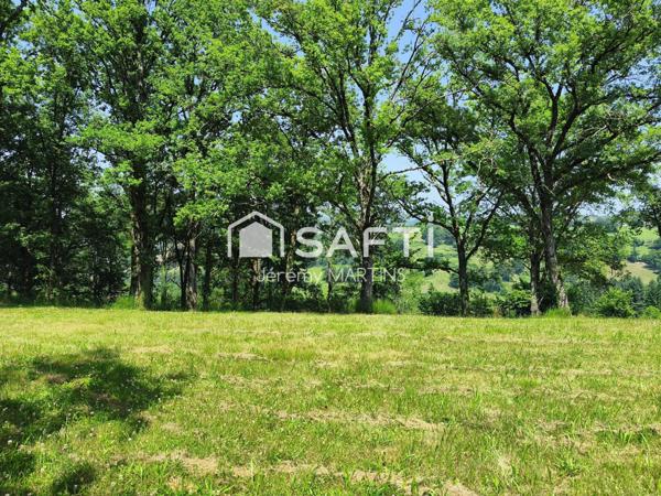 Terrain de loisir entièrement clos avec chalet