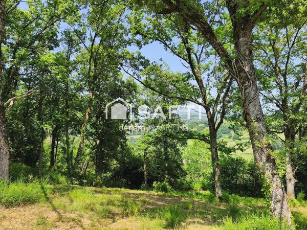 Terrain de loisir entièrement clos avec chalet