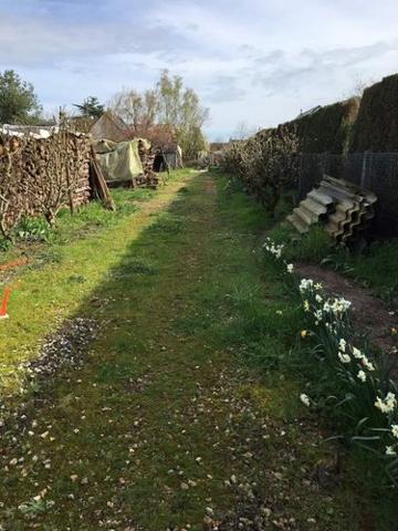 Terrain à Batir à vendre à Esvres dans l'Indre-et-Loire (37320), ref : 034/2203959