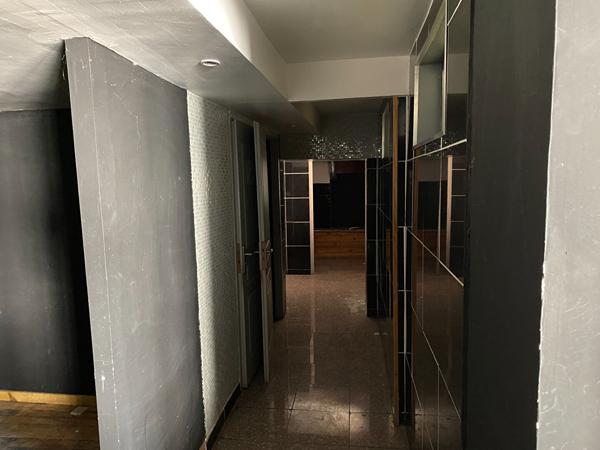 Albi, ensemble immobilier de 361 m²
