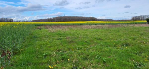 Terrain à bâtir - 1 lot - 1200m2