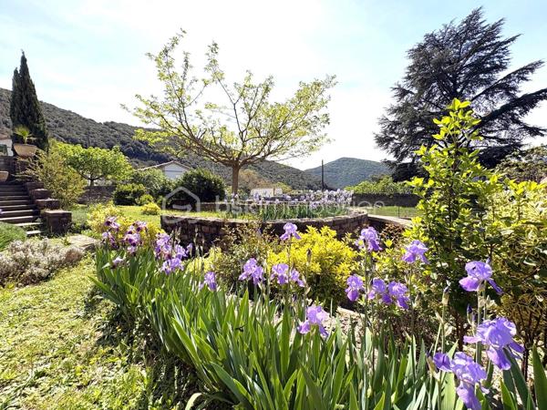 Aux pieds des Cévennes, nichée sur les hauteurs, cette superbe demeure allie harmonie charme, élégance et authenticité. Baignée de lumière, elle vous offre une vue dégagée ainsi qu'un cadre de vie privilégié, propice à la douceur de vivre. Elle est à deux pas de toutes les commodités. 247 m² sur 2 niveaux (plus combles et rez-de-jardin), cette maison vous propose de beaux volumes avec sa pièce de vie de 100 m² environ, cuisine ouverte, salon, espace détente, ouvrant sur l'extérieur, sur la piscine également (8 m x 4 m profondeur 1,5 m, avec douche et WC). La partie nuit se compose de 6 chambres, idéales pour accueillir et recevoir en toute sérénité. 1 salle d'eau avec WC au niveau 1 et 1 salle de bains avec WC séparé au niveau 2. Buanderie. Vous avez la possibilité de transformer les espaces du niveau 0 à votre guise, studio, atelier, sauna... ainsi que les combles. Pompe à chaleur, double vitrage, fibre, toiture en bon état. Le terrain en restanques de 1610 m², soigneusement aménagé vous offre de beaux espaces vous invitant à la détente dans un environnement préservé. Portail électrique, 2 garages. Propriété de caractère offrant espace, confort, au pieds de nos belles Cévennes, dans une atmosphère rare. Contactez moi, j'ai hâte de vous la faire découvrir !
At the foothills of the Cévennes, perched on elevated ground, this magnificent property combines charm, elegance, harmony, and authenticity. Bathed in natural light, it offers open views and an exceptional living environment, ideal for a peaceful lifestyle. Conveniently located just moments from all amenities, this 247 m² home is spread over two levels (plus attic space and a garden level). The house features generous living spaces, including an approximately 100 m² open-plan living area with a kitchen, lounge, and relaxation space opening directly onto the outdoors and the swimming pool (8 m x 4 m, 1.5 m deep, with an outdoor shower and WC). The sleeping area comprises six bedrooms, perfect for accommodating family and guests in complete comfort. There is one shower room with WC on the first level and one bathroom with a separate WC on the second level. A laundry room is also included. The garden-level spaces can be adapted to suit your needs and could be transformed into a studio, workshop, sauna, or other leisure areas, as can the attic space. The property benefits from a heat pump, double glazing, fibre-optic internet, and a roof in good condition. The beautifully landscaped 1,610 m² terraced plot offers attractive outdoor spaces dedicated to relaxation in a preserved natural setting. Additional features include an electric gate and two garages. A character-filled property offering space, comfort, and tranquillity at the foot of the beautiful Cévennes Mountains, in a truly unique atmosphere. Contact me today—I would be delighted to show you this exceptional home.