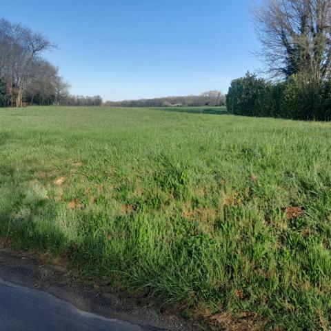 Terrain plat 1980 m² à la campagne – cadre calme – mandat exclusif - SAINT SORNIN (16)