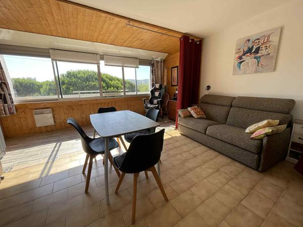 Appartement La Grande Motte 2 pièce(s) 34 m2