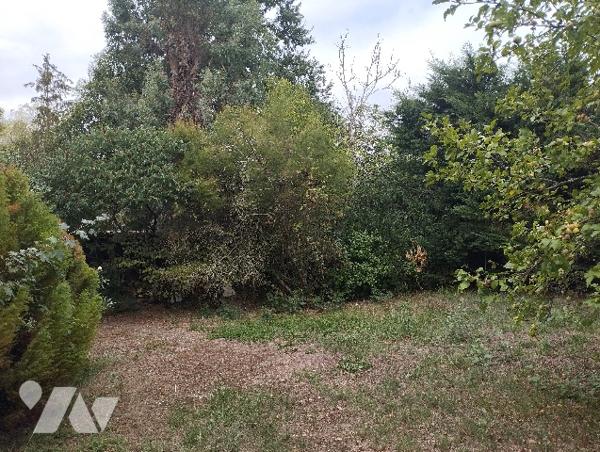 A vendre Montesquieu Volvestre belle villa en parfait état sur 2432m² joliment arboré