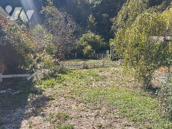 A vendre Montesquieu Volvestre belle villa en parfait état sur 2432m² joliment arboré
