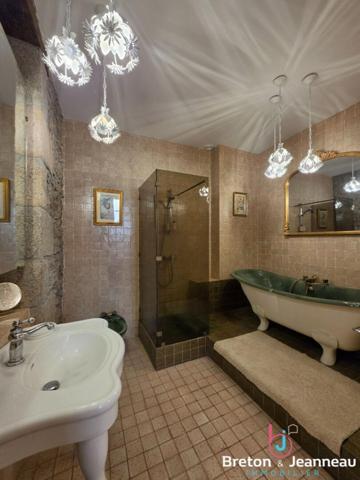 Superbe Hôtel Particulier à Mayenne