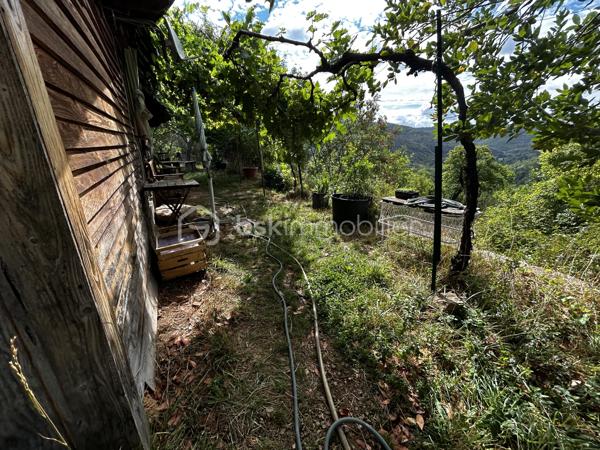 Rare en Aveyron, sans vis-à-vis, venez découvrir cette maison en partie autonome et son terrain de 2,79 ha.
Amoureux de la nature et de tranquillité, cette propriété atypique située dans un environnement préservé  vous offrira une vue panoramique et imprenable sur nos paysages Aveyronnais.
Cette maison en bois profiterait à un projet de vie en autonomie, un mode de vie éco-responsable.
Le bien est équipé de trois panneaux solaires pour l'électricité, d'une source (débit constant été comme hivers) fournissant l'eau froide ainsi qu'un toilette sèche (assainissement individuel à prévoir).
L'atout est le terrain qui entoure la propriété d'un seul tenant de 2,79 ha. Un espace idéal pour de la permaculture, agriculture ou tout simplement pour garantir une intimité totale !
Plusieurs arbres fruitiés ainsi des chênes truffiers viennent agrandir les points forts de ce dernier !

Je reste à votre disposition pour plus de renseignement.
