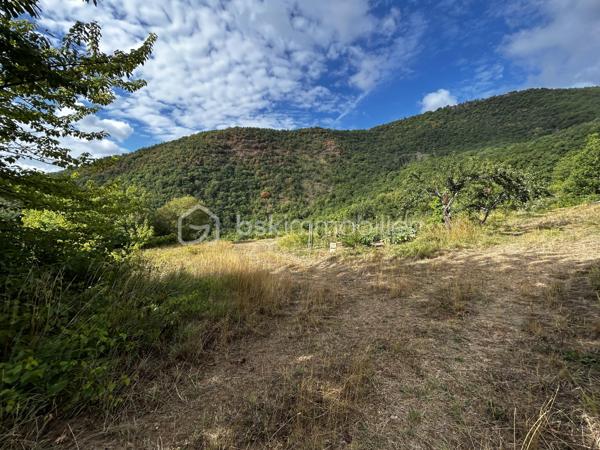 Rare en Aveyron, sans vis-à-vis, venez découvrir cette maison en partie autonome et son terrain de 2,79 ha.
Amoureux de la nature et de tranquillité, cette propriété atypique située dans un environnement préservé  vous offrira une vue panoramique et imprenable sur nos paysages Aveyronnais.
Cette maison en bois profiterait à un projet de vie en autonomie, un mode de vie éco-responsable.
Le bien est équipé de trois panneaux solaires pour l'électricité, d'une source (débit constant été comme hivers) fournissant l'eau froide ainsi qu'un toilette sèche (assainissement individuel à prévoir).
L'atout est le terrain qui entoure la propriété d'un seul tenant de 2,79 ha. Un espace idéal pour de la permaculture, agriculture ou tout simplement pour garantir une intimité totale !
Plusieurs arbres fruitiés ainsi des chênes truffiers viennent agrandir les points forts de ce dernier !

Je reste à votre disposition pour plus de renseignement.