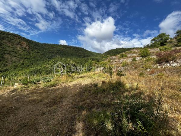 Rare en Aveyron, sans vis-à-vis, venez découvrir cette maison en partie autonome et son terrain de 2,79 ha.
Amoureux de la nature et de tranquillité, cette propriété atypique située dans un environnement préservé  vous offrira une vue panoramique et imprenable sur nos paysages Aveyronnais.
Cette maison en bois profiterait à un projet de vie en autonomie, un mode de vie éco-responsable.
Le bien est équipé de trois panneaux solaires pour l'électricité, d'une source (débit constant été comme hivers) fournissant l'eau froide ainsi qu'un toilette sèche (assainissement individuel à prévoir).
L'atout est le terrain qui entoure la propriété d'un seul tenant de 2,79 ha. Un espace idéal pour de la permaculture, agriculture ou tout simplement pour garantir une intimité totale !
Plusieurs arbres fruitiés ainsi des chênes truffiers viennent agrandir les points forts de ce dernier !

Je reste à votre disposition pour plus de renseignement.