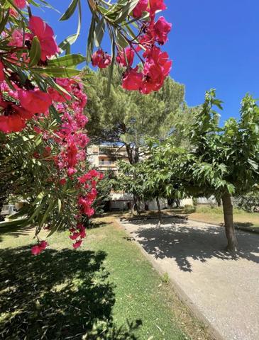 Appartement 1 pièce - 26 m²