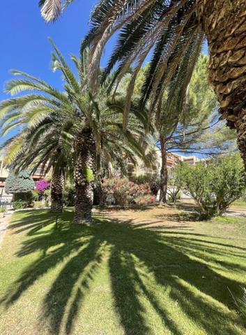 Appartement 1 pièce - 26 m²