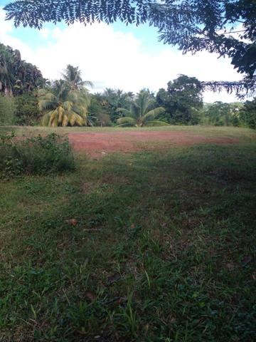 A vendre terrain plat au Lamentin, quartier Palmiste