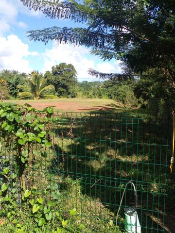 A vendre terrain plat au Lamentin, quartier Palmiste