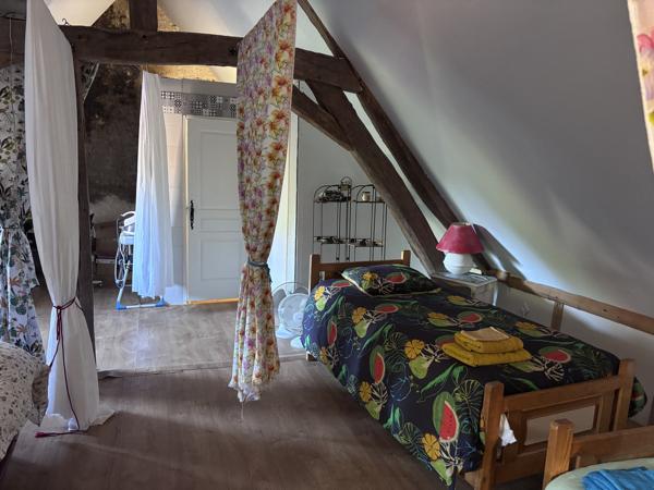 Le Veurdre - Ancien moulin à eau avec une maison spacieuse et un petit bout de rivière sur un terrain de 1,7 h Le Veurdre (03320)