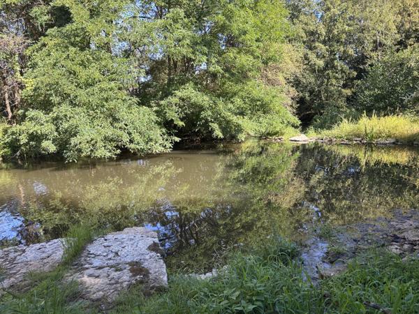 Le Veurdre - Ancien moulin à eau avec une maison spacieuse et un petit bout de rivière sur un terrain de 1,7 h Le Veurdre (03320)