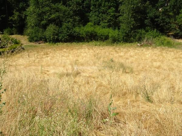 Vente                                                      Terrain
                        
                                         1272 m2                     à Saint-Jean-de-Bournay