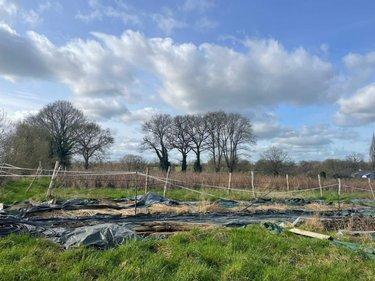 Bien agricole à vendre à Aron en Mayenne (53440), ref : 046/846