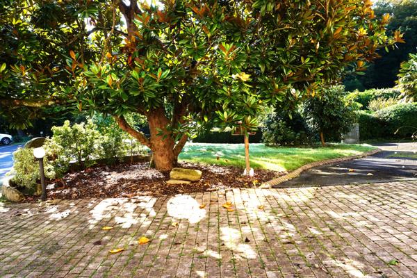 CHARMANTE MAISON A PIED DES PLAGES