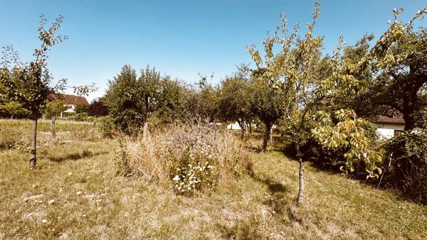 Vault-de-Lugny (89200) Maison bourgeoise avec corps de ferme située dans le secteur de VAULT -DE-LUGNY à 263 220 €