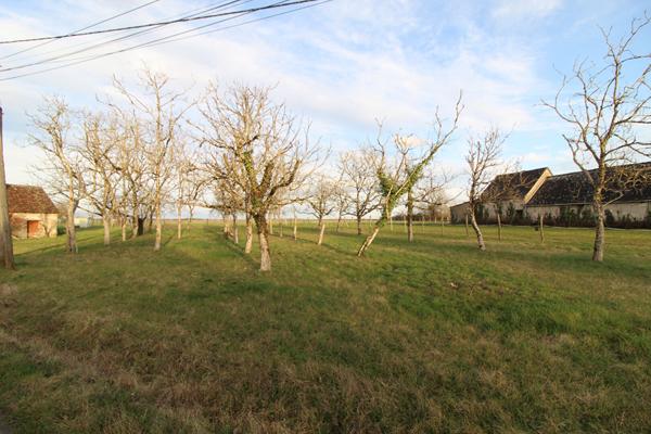 MONTEAUX - 25 KM DE BLOIS -15 KM D'AMBOISE