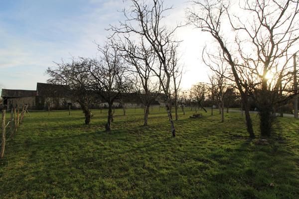 MONTEAUX - 25 KM DE BLOIS -15 KM D'AMBOISE
