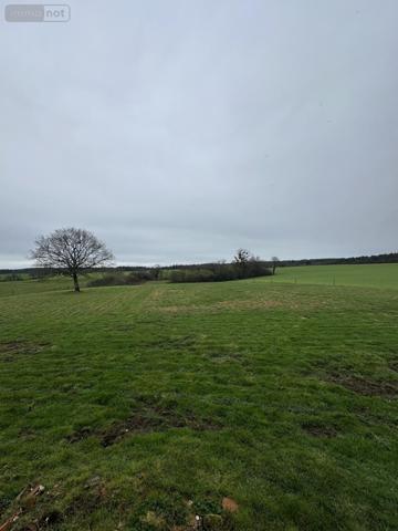 Maison à vendre à Plouay dans le Morbihan (56240), ref : 56029-1377