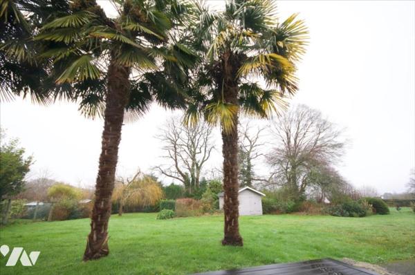 Maison individuelle + 4 logements loués