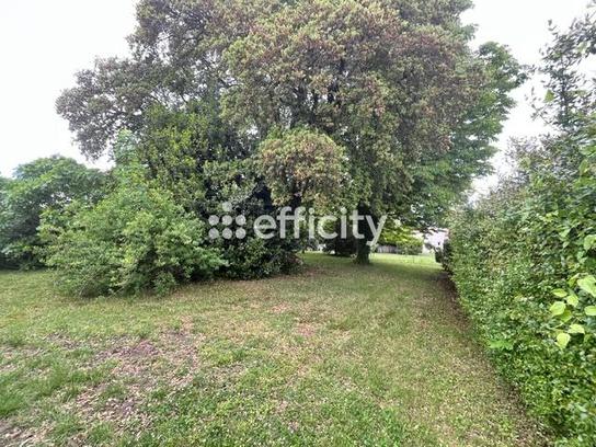 Maison
         4 pièces
        - 110 m² Exclusivité