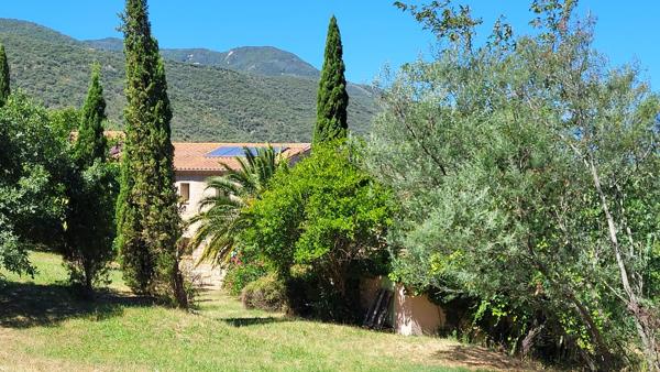 MAGNIFIQUE MAS AVEC GITE ET TERRAIN
