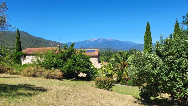 MAGNIFIQUE MAS AVEC GITE ET TERRAIN