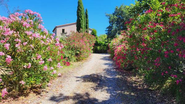 MAGNIFIQUE MAS AVEC GITE ET TERRAIN