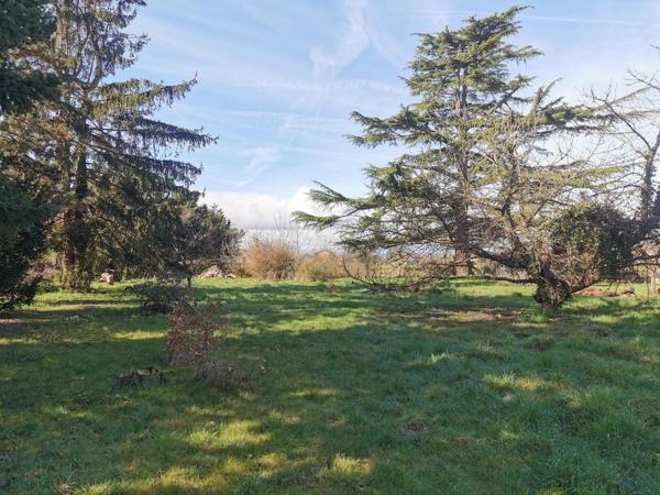 Magnifique terrain à bâtir 1500 m²