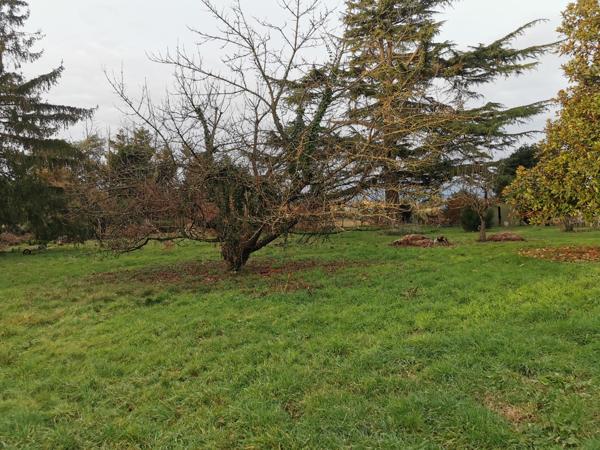 Magnifique terrain à bâtir 1500 m²