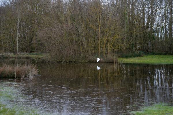 Propriété d’exception en bord de mer, au cœur d’un environnement naturel préservé