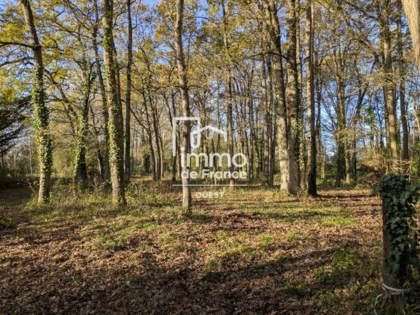 Maison VERRIERES EN ANJOU